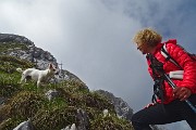 Da Cacciamali di Ardesio anello del Monte Secco, salito per creste, disceso da oltre Cima Vaccaro ( il 28 maggio 2015) - FOTOGALLERY